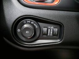 
 Jeep Renegade full									