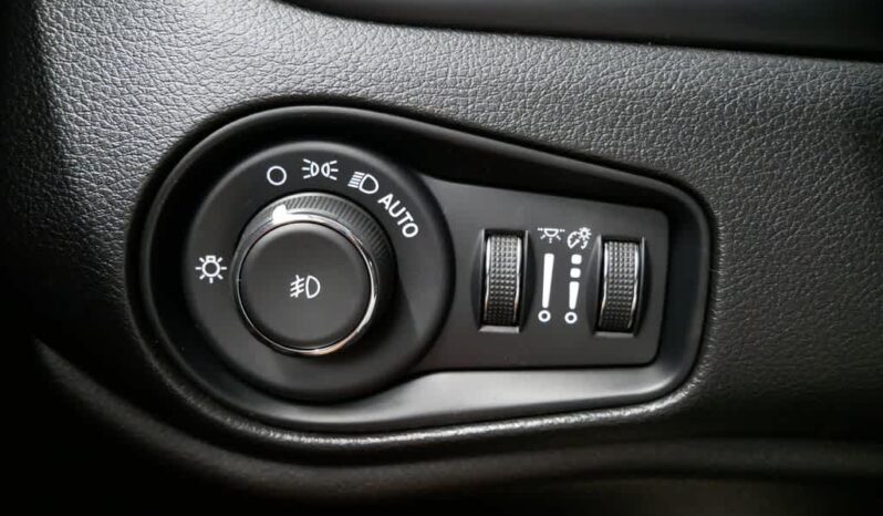 
 Jeep Renegade full									