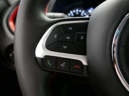 
 Jeep Renegade full									