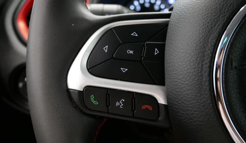 
 Jeep Renegade full									
