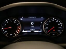 
 Jeep Renegade full									