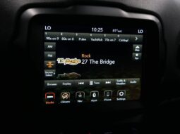
 Jeep Renegade full									