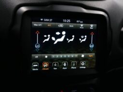 
 Jeep Renegade full									