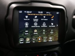
 Jeep Renegade full									