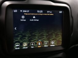 
 Jeep Renegade full									
