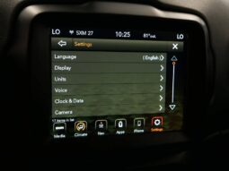 
 Jeep Renegade full									