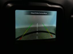 
 Jeep Renegade full									