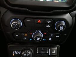 
 Jeep Renegade full									
