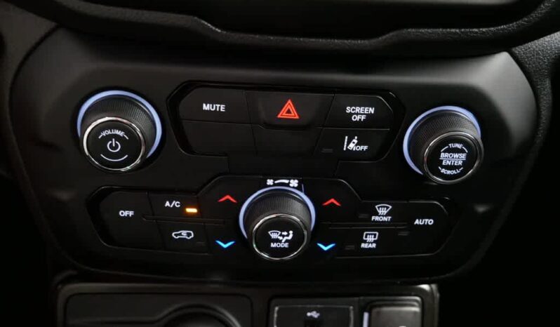 
 Jeep Renegade full									