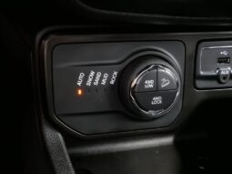 
 Jeep Renegade full									