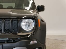
 Jeep Renegade full									