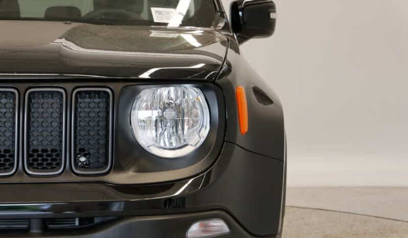 
 Jeep Renegade full									