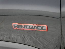 
 Jeep Renegade full									