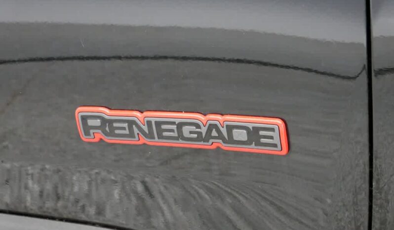 
 Jeep Renegade full									