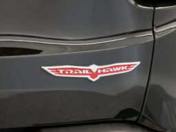 
 Jeep Renegade full									