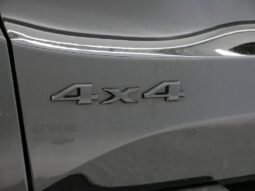 
 Jeep Renegade full									