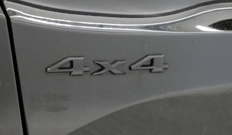 
 Jeep Renegade full									