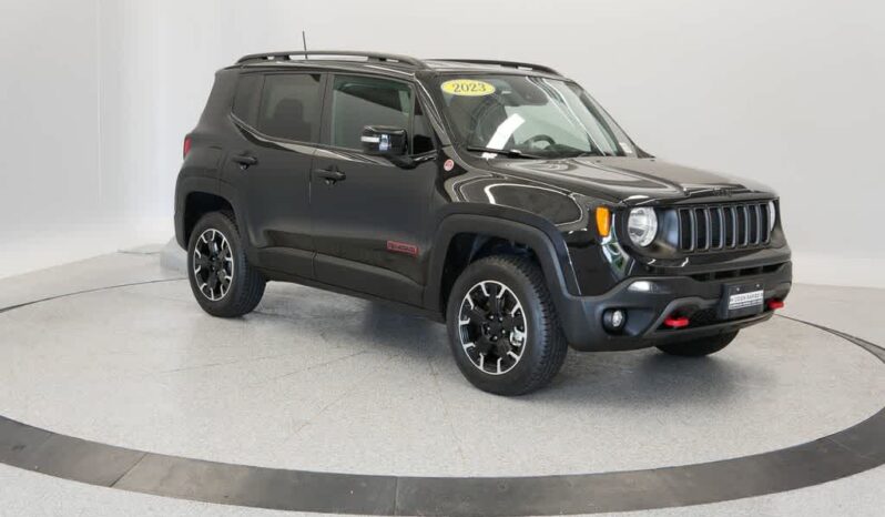 
 Jeep Renegade full									