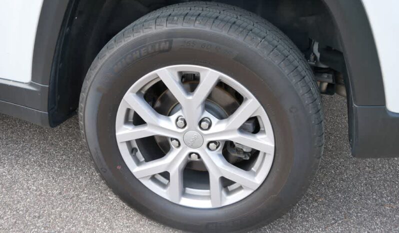 
 Jeep Grand Cherokee full									
