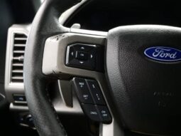
 Ford F-150 full									