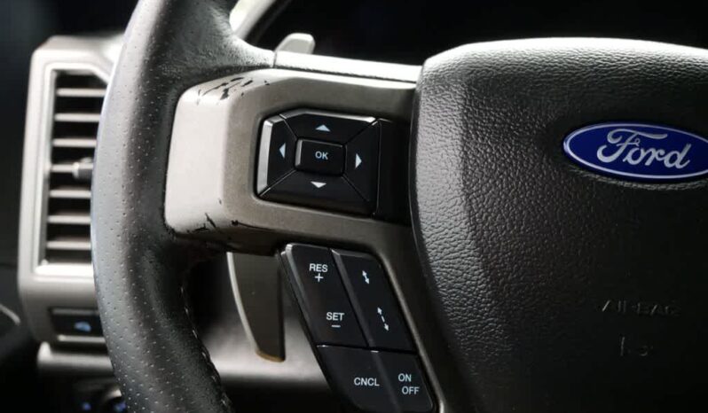 
 Ford F-150 full									