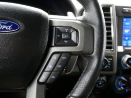 
 Ford F-150 full									