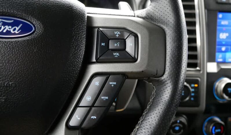 
 Ford F-150 full									