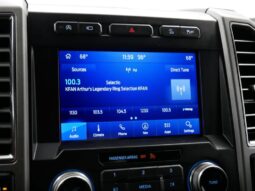 
 Ford F-150 full									