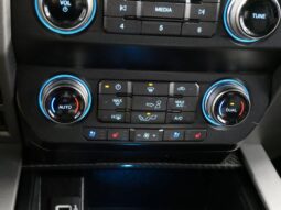 
 Ford F-150 full									