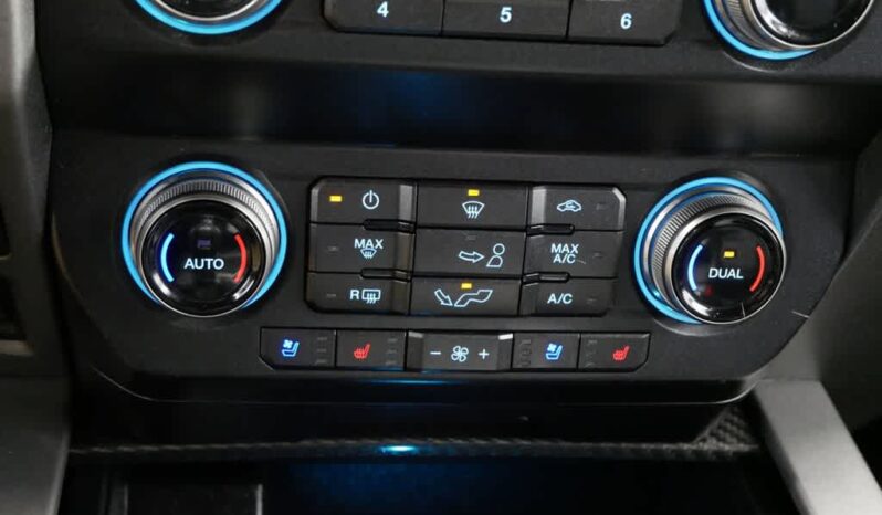 
 Ford F-150 full									