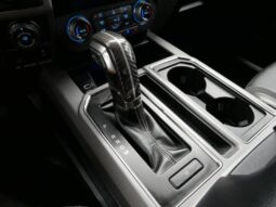 
 Ford F-150 full									