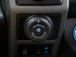 
 Ford F-150 full									