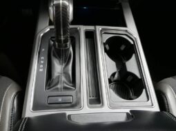 
 Ford F-150 full									