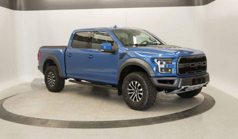 
 Ford F-150 full									