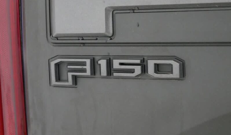 
 Ford F-150 full									