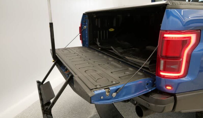 
 Ford F-150 full									
