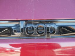 
 Jeep Grand Cherokee full									