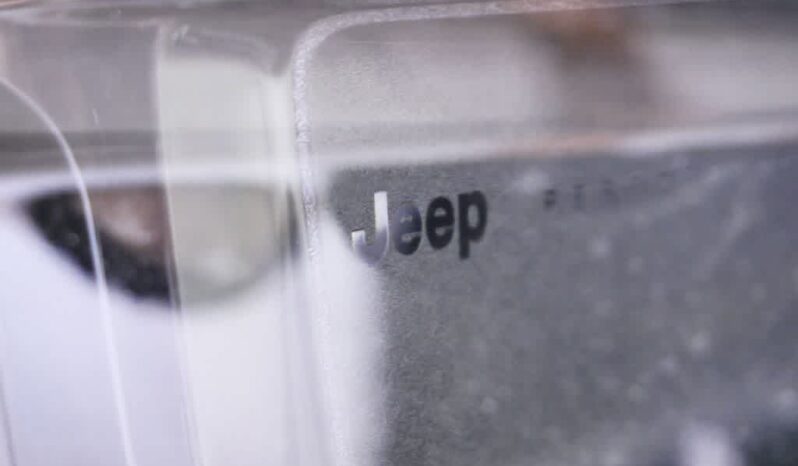 
 Jeep Grand Cherokee full									