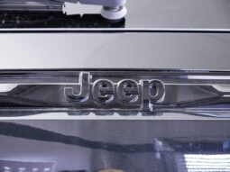 
 Jeep Grand Cherokee full									
