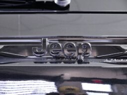 
 Jeep Grand Cherokee full									