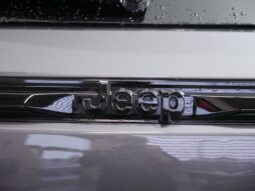 
 Jeep Grand Cherokee full									