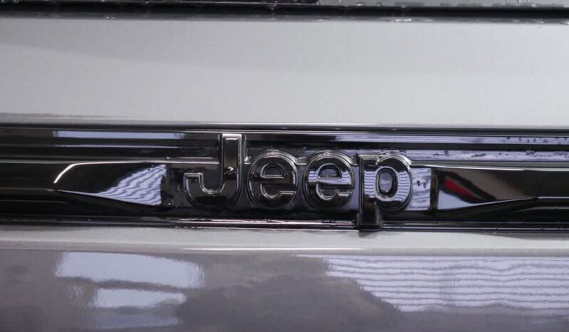 
 Jeep Grand Cherokee full									