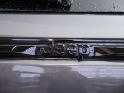 
 Jeep Grand Cherokee full									