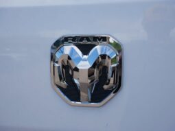 
 RAM ProMaster full									