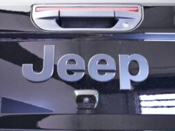 
 Jeep Gladiator full									