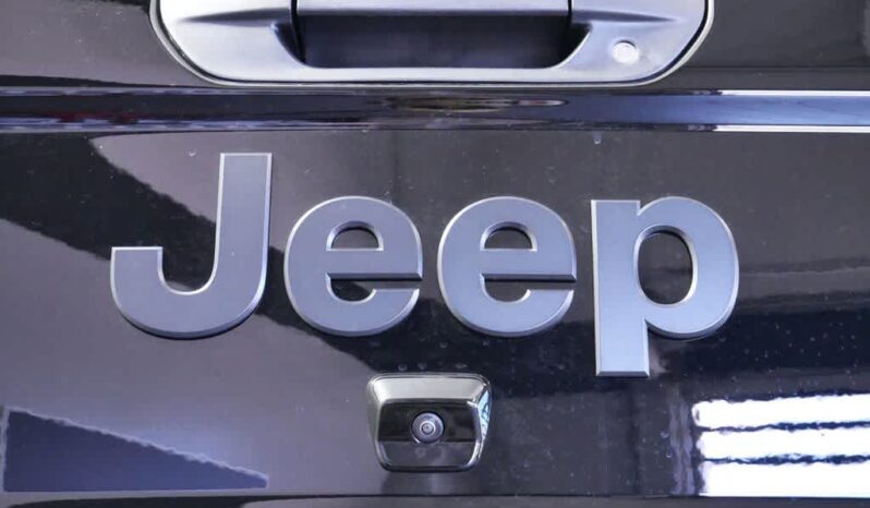 
 Jeep Gladiator full									