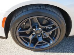 
 Dodge Charger Daytona full									