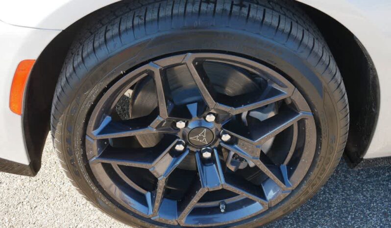 
 Dodge Charger Daytona full									