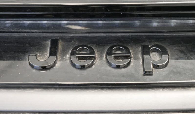 
 Jeep Wagoneer S full									