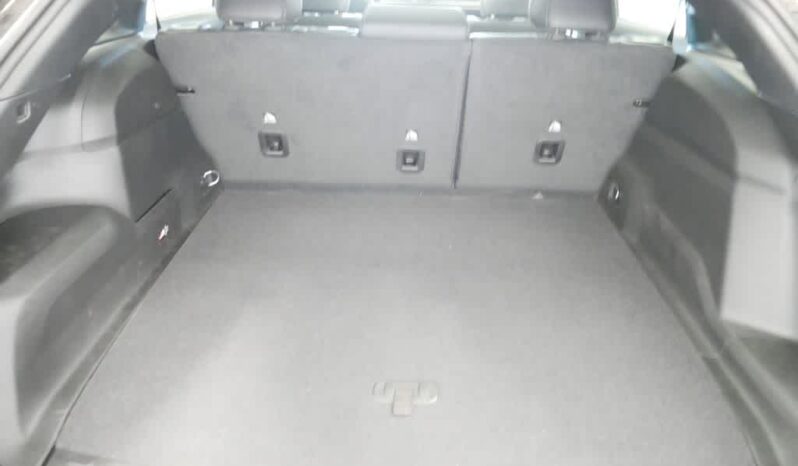 
 Jeep Wagoneer S full									